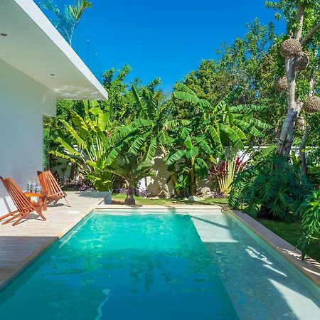 Chic & Mexican Villa, A True Oasis Pool, Security 图卢姆 外观 照片